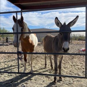 Meet your Posher, Melinda